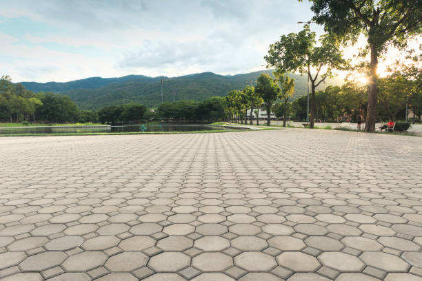 Best Driveway Pavers Contractor  in Essex, IL